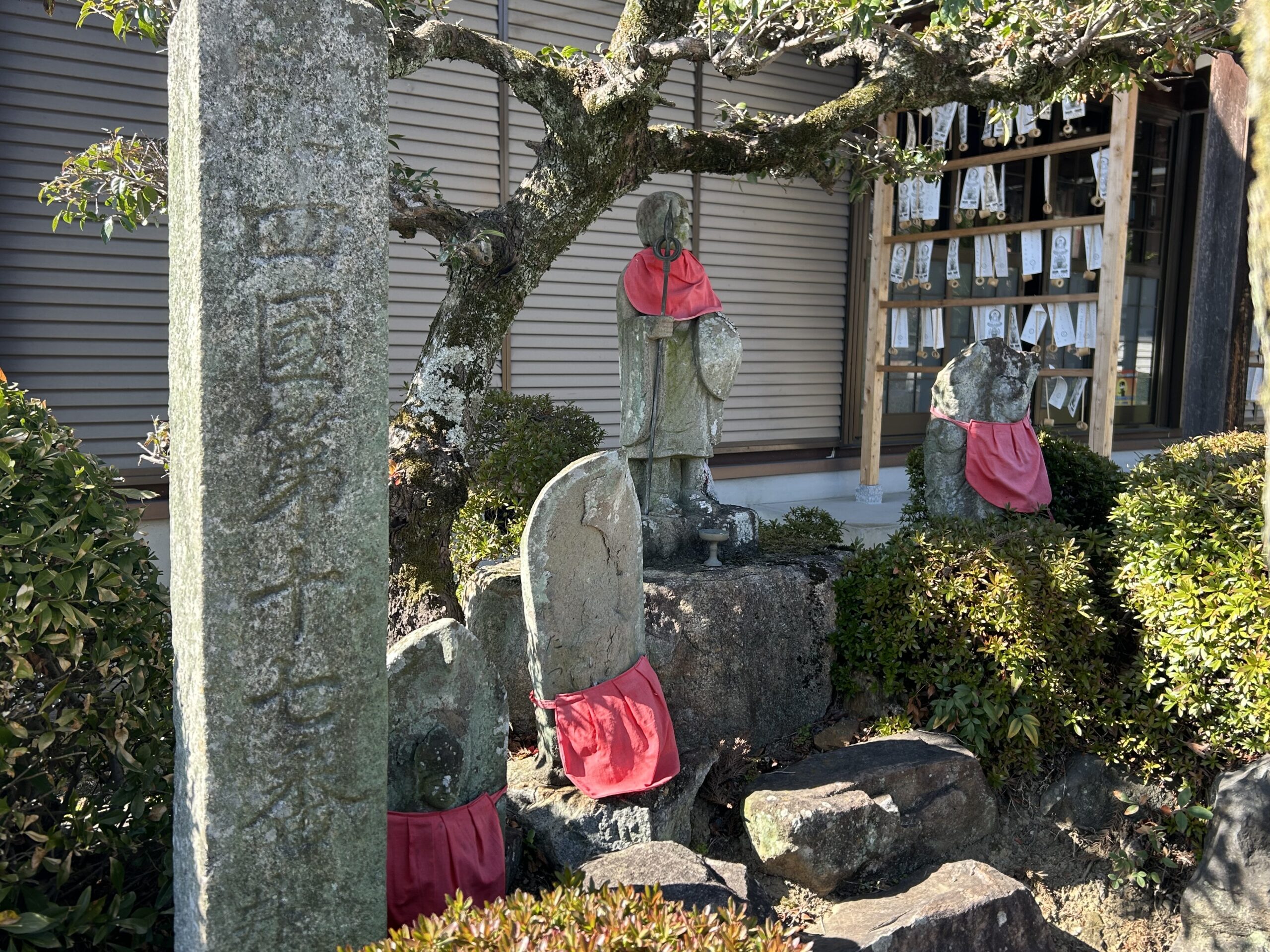夕景の弘法大師像 桜を背に佇む